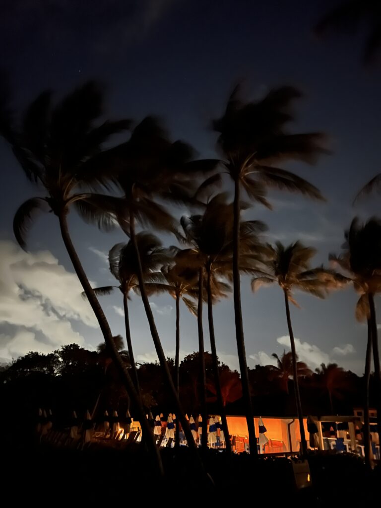 A beautiful nighttime view of palm trees silhouetted against a twilight sky with clouds, overlooking a brightly lit beachfront gathering, creating an atmospheric and lively outdoor setting