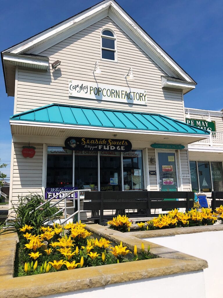 things to do in cape may nj