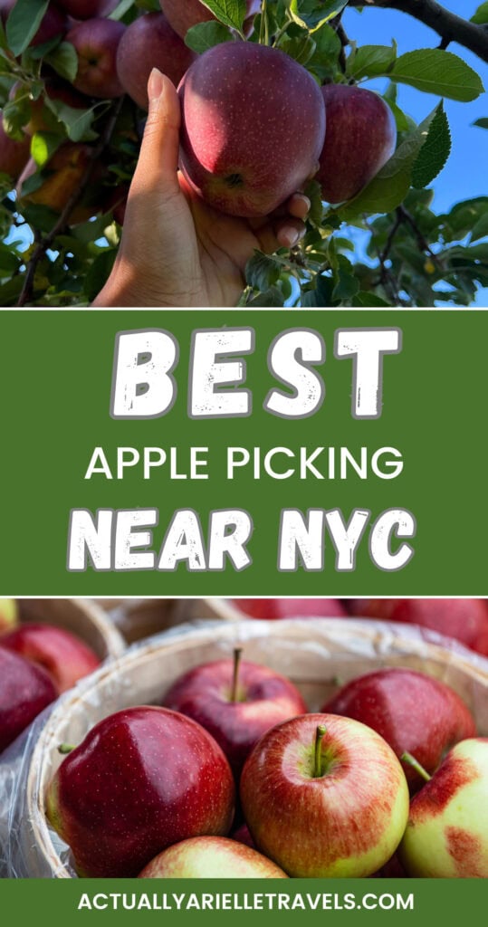 best apple picking near nyc
