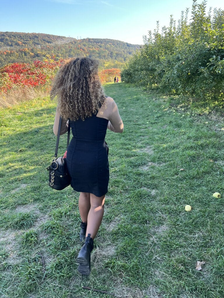 apple picking near nyc 3