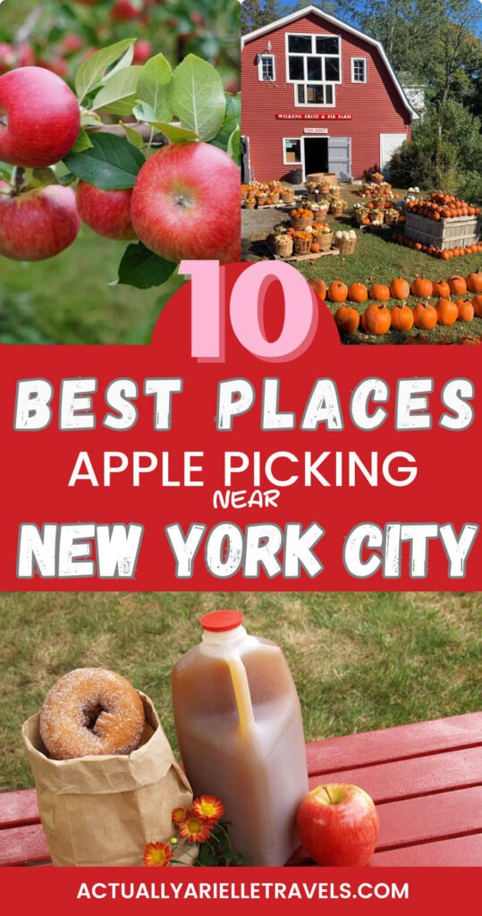 apple picking new york city