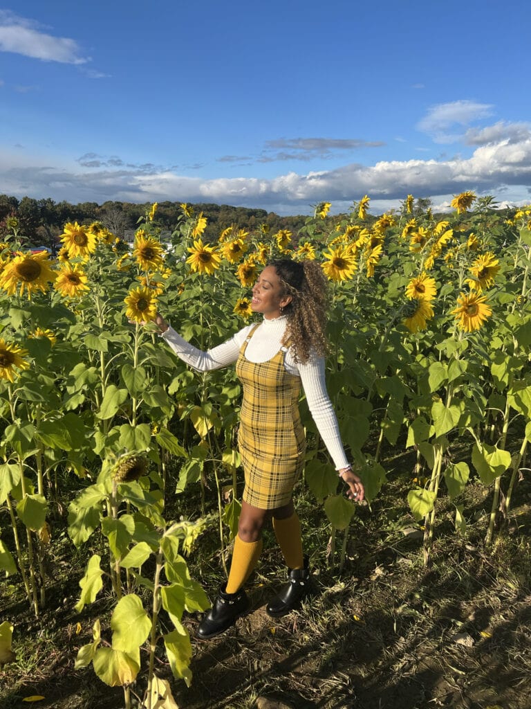 top rated apple picking near nyc